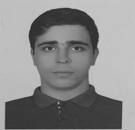 نیما حاجی مهدی ارباب
