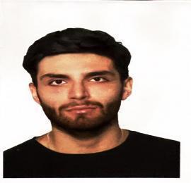 امیرحسین برزابادی فراهانی
