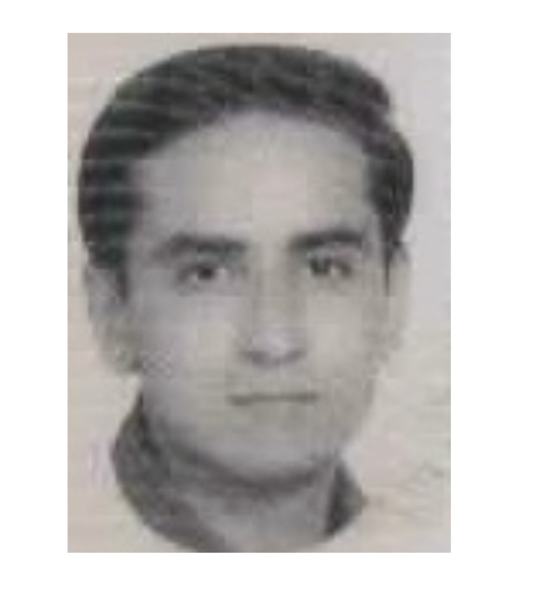 مسعود اشجعی