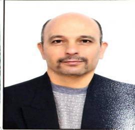 سید حمیدرضا گواهی