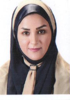 حمیده مرکی