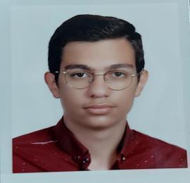 سید امیررضا حسینی فر