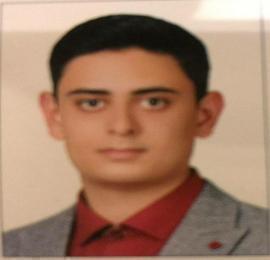 امیر حسین لاری