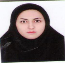 مینا امینی