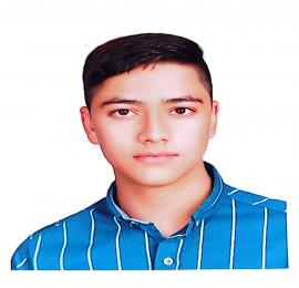 عارف خمس لویی