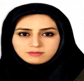 مینا صادقی زفره