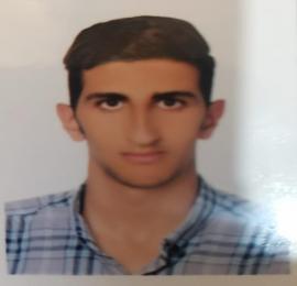 عرفان عاقل رفتار