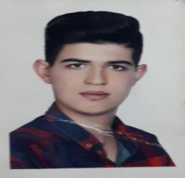 طاها رستمی بلمیری