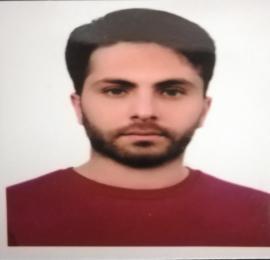 حمید امینی