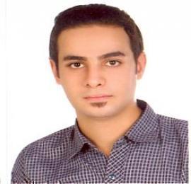 سید علی امیر شاه کرمی