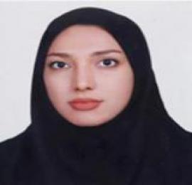 ارمغان ابراهیمی