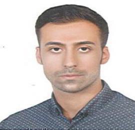 محمد جواد رفیعیان