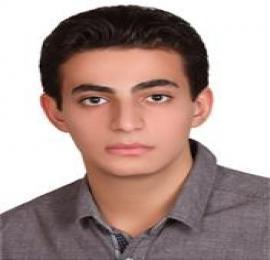 سیدمهدی امیرشاه کرمی