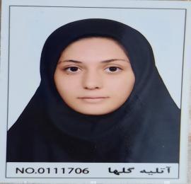 شیدا نبی زاده