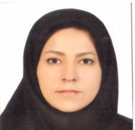 متین سبقت اللهی