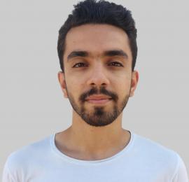 مبین موسویان