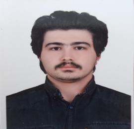 سید مهدی مرتضوی