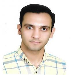 سید مهدی صفوی