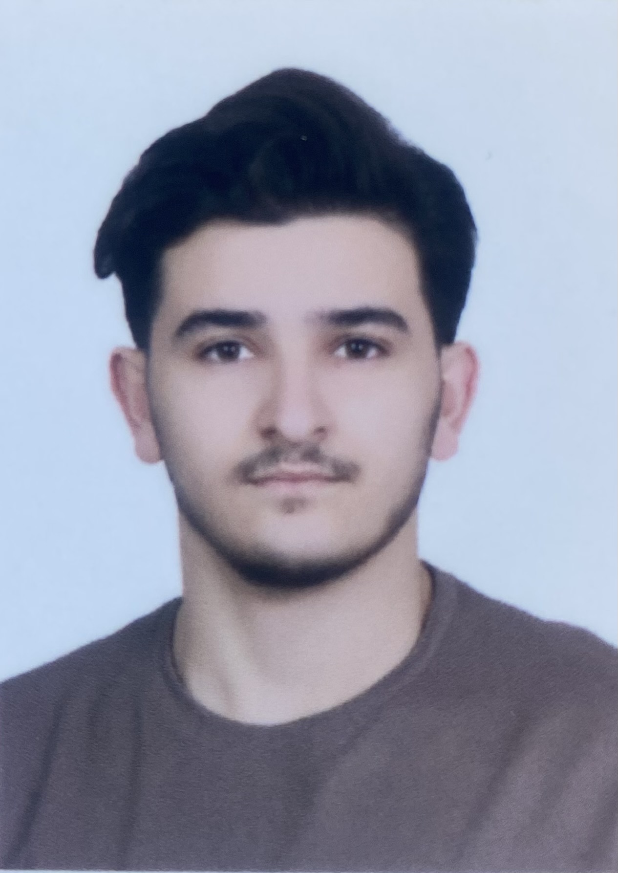 حامد محمودی