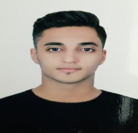 محمد امین محمدیان