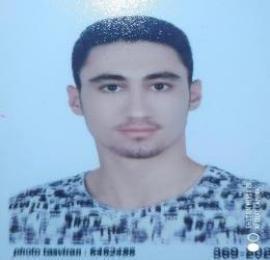 آروین صارمی