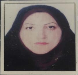 رویا سلمانی