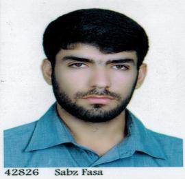 محمد هادی صالح