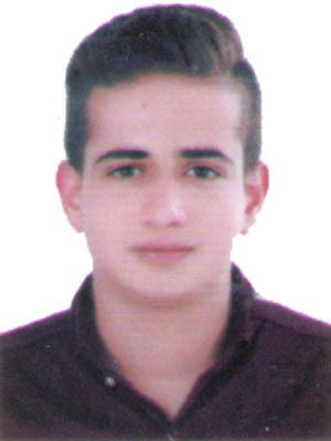 سید امیر صالح میرافضلی