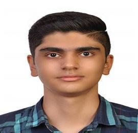 امیر محمد دوامی هنگام