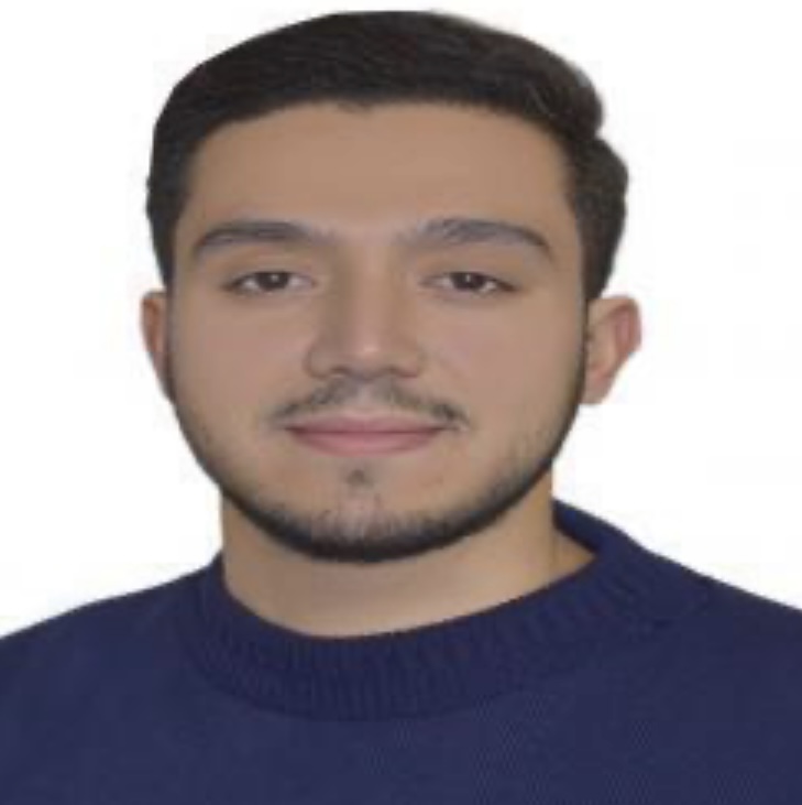 محمد حسین افقهی