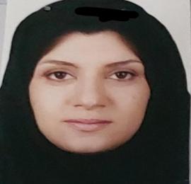 سیده مونس امینی
