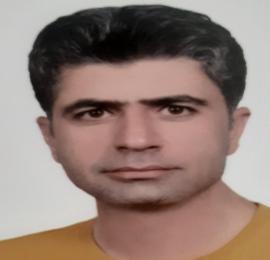 حسن سیفی