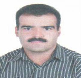 حجت محمدی