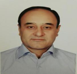 مجید یگانه نسب