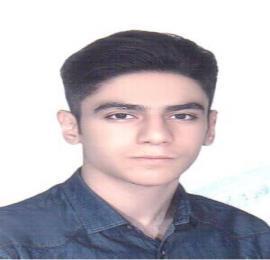 سید آریا خیابانی