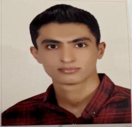 حسین محمدی بهنوئیه
