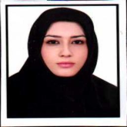 اعظم ملکی