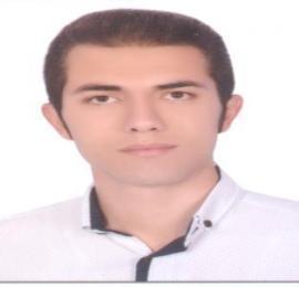حسین نظری