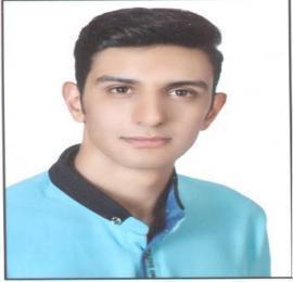 سید علیرضا ربیعیان