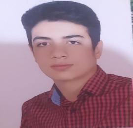 علی فروزان بروجنی
