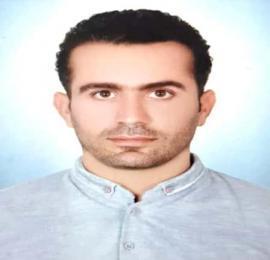 رضا سیاه منصوری