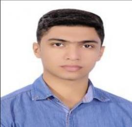 محمد مهدی اقایی